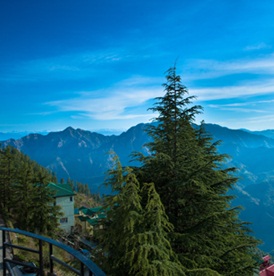 The Jannat View Mashobra