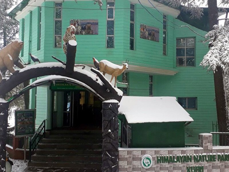The Jannat View Mashobra