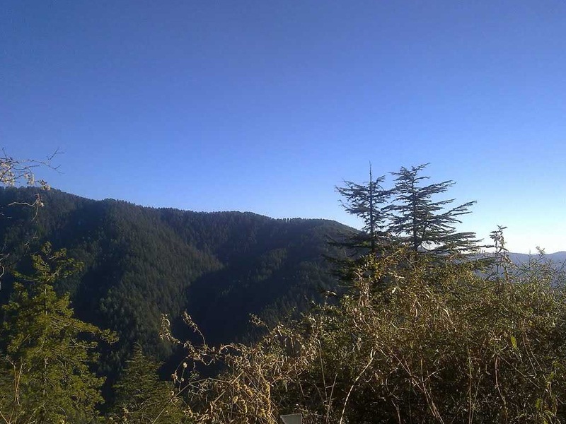The Jannat View Mashobra