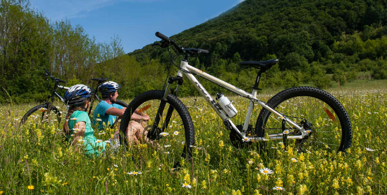 Cycling Tour